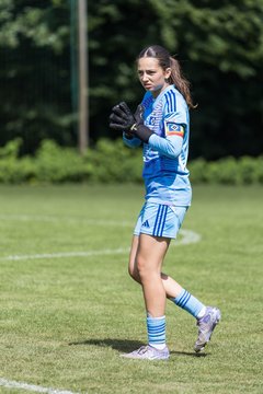 Bild 254 - wBJ Hamburger SV - VfL Wolfsburg : Ergebnis: 5:1